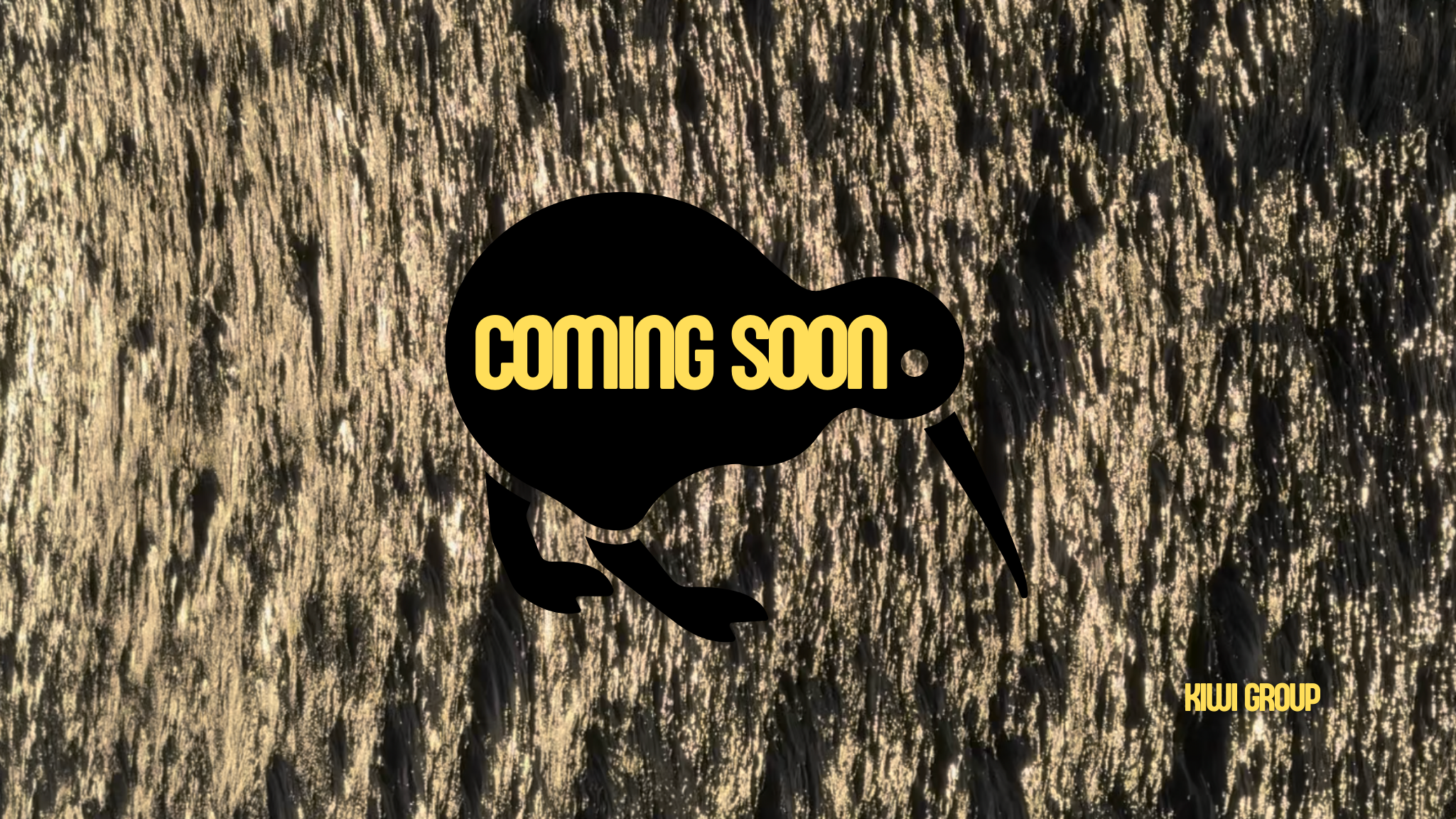 Kiwi Group Coming Soon